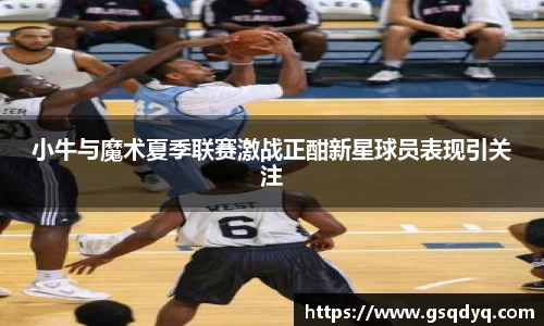 yy易游