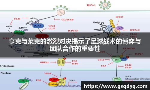 yy易游体育